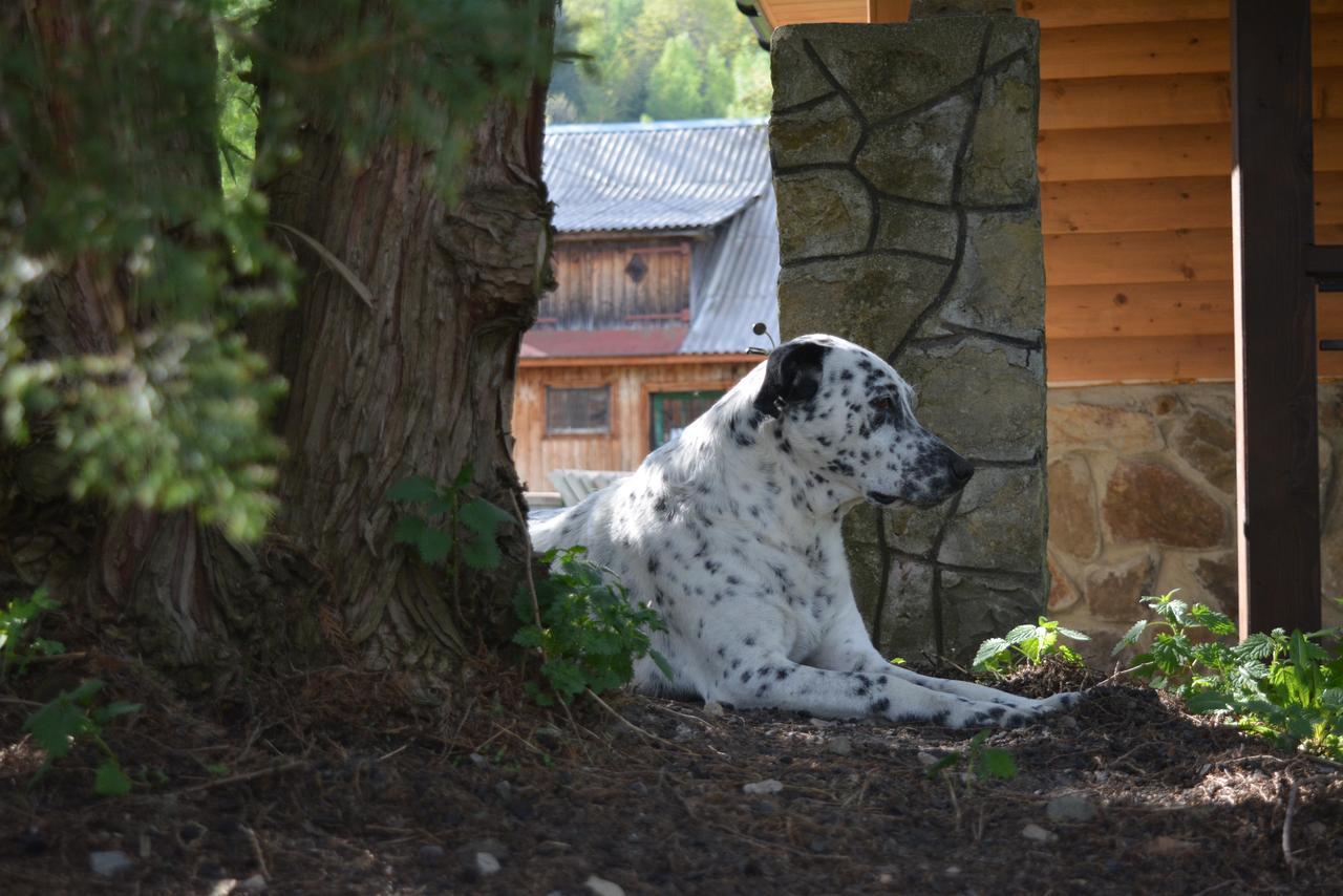 Holiday Home La Vіta Jaremcze Zewnętrze zdjęcie